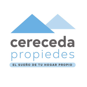 Constanza Inés Cereceda Letelier