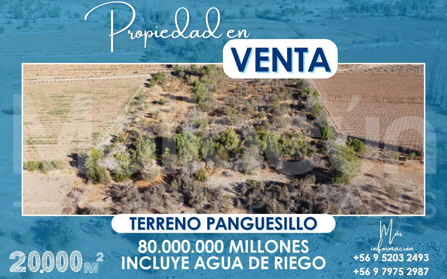 📍Venta de Terreno 2 ha – Sector Panguesillo