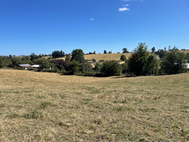 ¡OPORTUNIDAD! Vende terreno 10.000 mts.2, Sector Paraguay Chico, Los Muermos.