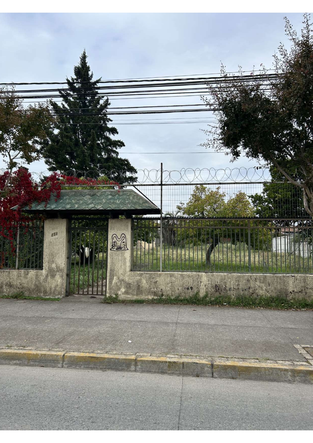 Venta Sitio Avenida Alemania 259, Los Ángeles
